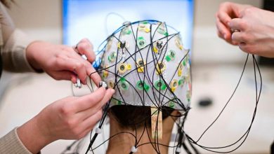 تصویر از نرم افزار EEG LAB